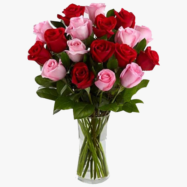 DF 41 - 18 Red and Pink Roses in a vase 
